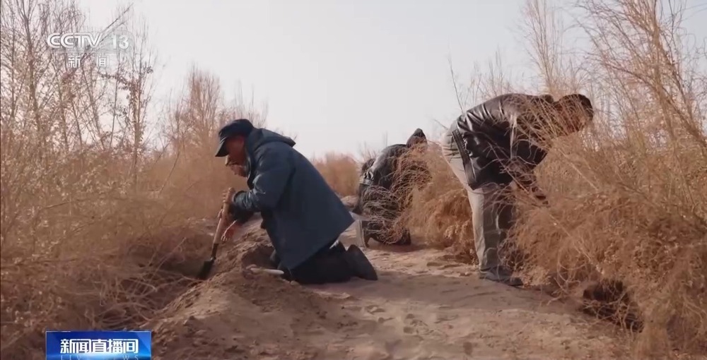 从“死亡之海”到“水产绿洲” 解锁新疆“点沙成金”的密码→ 从“死亡之海”到“水产绿洲” 解锁新疆“点沙成金”的密码→