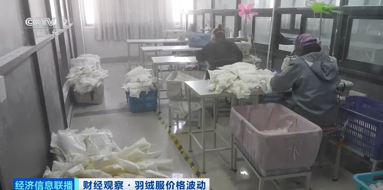 羽绒服价格，明显上涨！你买了吗？