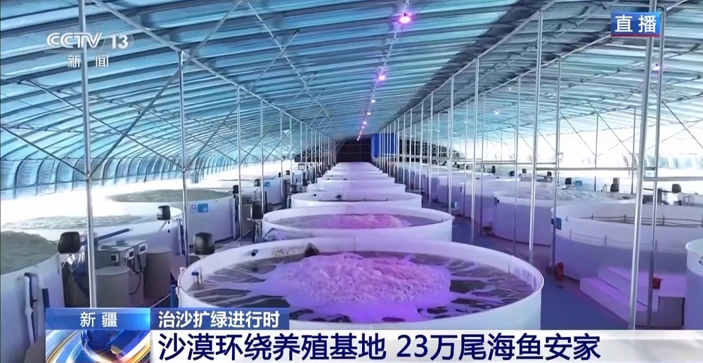 沙漠里如何养海鲜？解锁塔克拉玛干沙漠的水产养殖密码