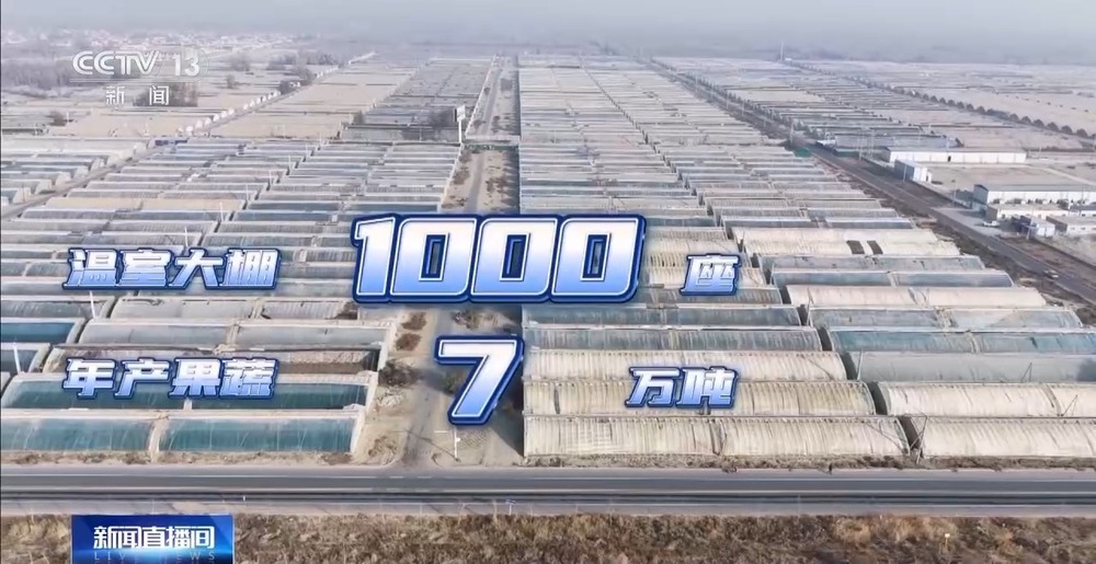 从“死亡之海”到“水产绿洲” 解锁新疆“点沙成金”的密码→ 从“死亡之海”到“水产绿洲” 解锁新疆“点沙成金”的密码→