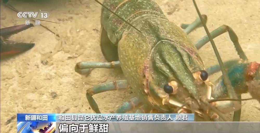 从“死亡之海”到“水产绿洲” 解锁新疆“点沙成金”的密码→ 从“死亡之海”到“水产绿洲” 解锁新疆“点沙成金”的密码→