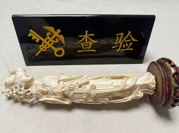 共计1.47千克，石家庄机场海关查获疑似象牙制品2件