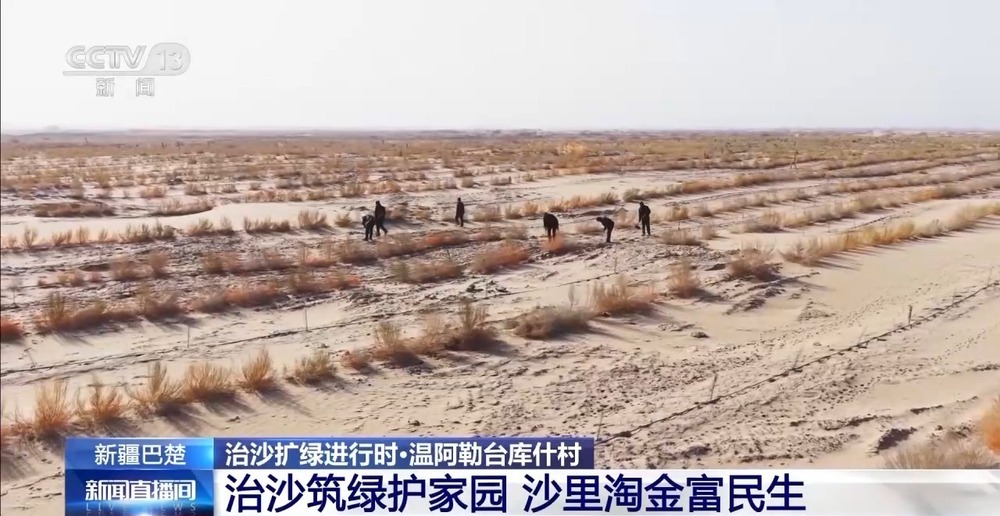 从“死亡之海”到“水产绿洲” 解锁新疆“点沙成金”的密码→ 从“死亡之海”到“水产绿洲” 解锁新疆“点沙成金”的密码→