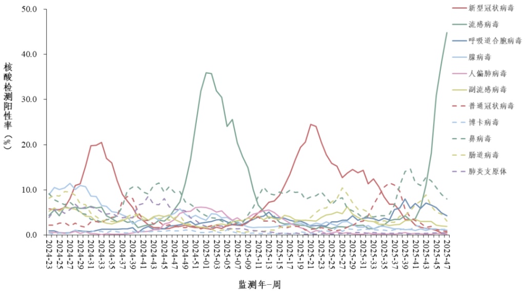 已有部分省份流感达高流行水平 这类人更容易“中招”