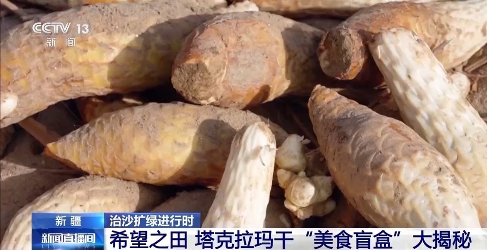 从“死亡之海”到“水产绿洲” 解锁新疆“点沙成金”的密码→ 从“死亡之海”到“水产绿洲” 解锁新疆“点沙成金”的密码→