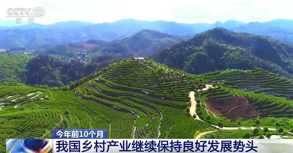 新亮点、新业态“热”力十足助农增收 我国乡村产业蓬勃兴旺、韧性强 新亮点、新业态“热”力十足助农增收 我国乡村产业蓬勃兴旺、韧性强