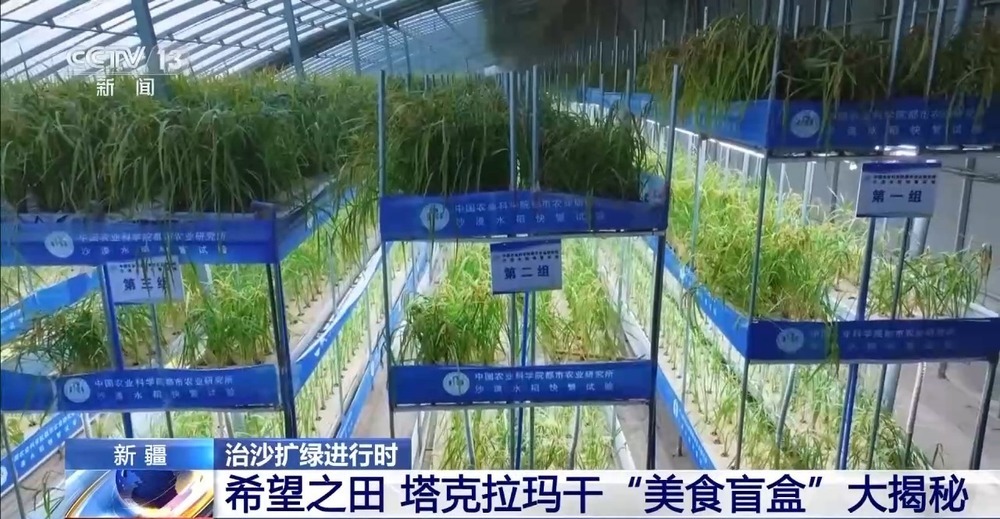 从“死亡之海”到“水产绿洲” 解锁新疆“点沙成金”的密码→ 从“死亡之海”到“水产绿洲” 解锁新疆“点沙成金”的密码→