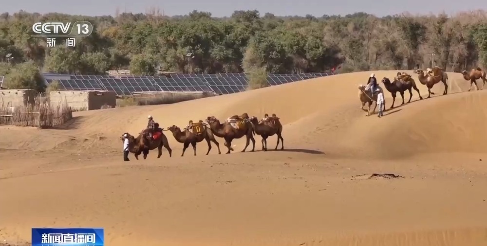 从“死亡之海”到“水产绿洲” 解锁新疆“点沙成金”的密码→ 从“死亡之海”到“水产绿洲” 解锁新疆“点沙成金”的密码→