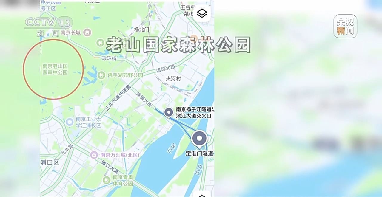 “二师兄”频繁来南京“旅游” 还给城市管理出了道新题
