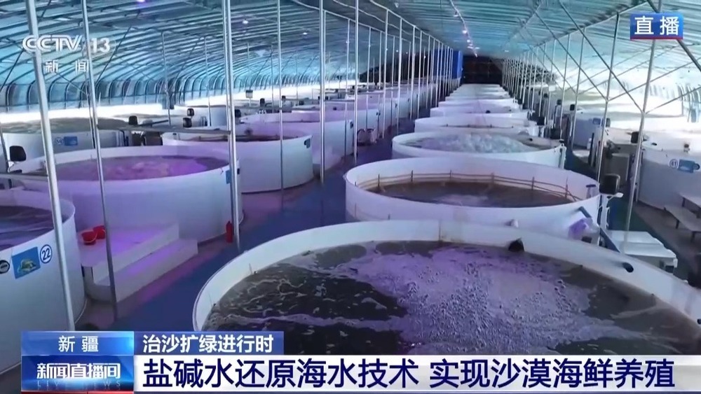 沙漠里如何养海鲜？解锁塔克拉玛干沙漠的水产养殖密码