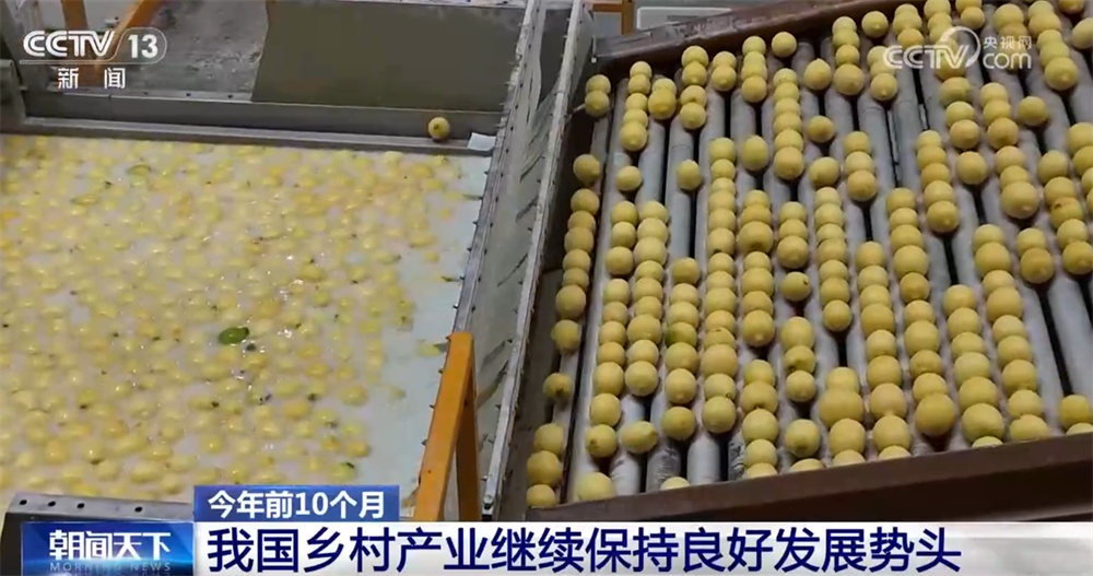 新亮点、新业态“热”力十足助农增收 我国乡村产业蓬勃兴旺、韧性强 新亮点、新业态“热”力十足助农增收 我国乡村产业蓬勃兴旺、韧性强