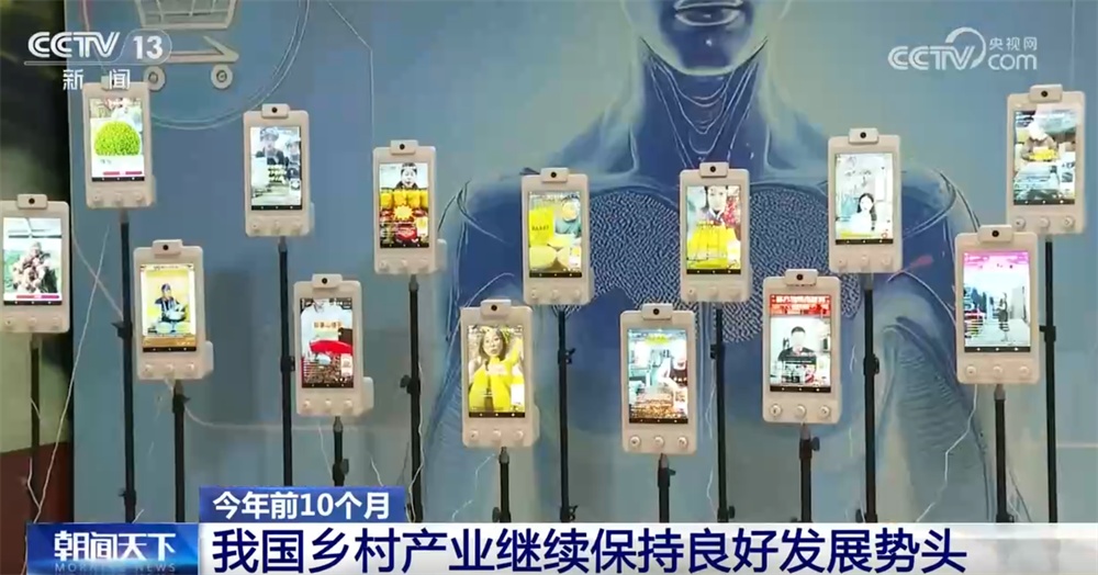 新亮点、新业态“热”力十足助农增收 我国乡村产业蓬勃兴旺、韧性强 新亮点、新业态“热”力十足助农增收 我国乡村产业蓬勃兴旺、韧性强