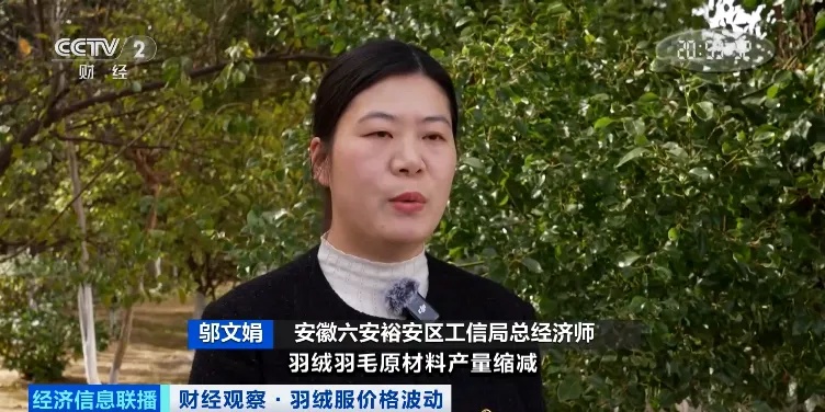 羽绒服价格，明显上涨！你买了吗？