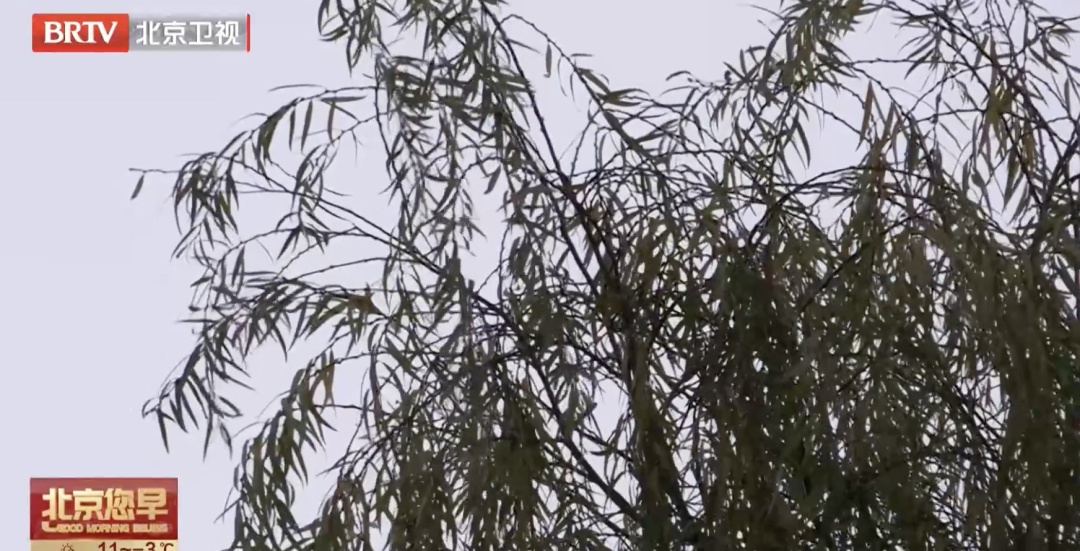 沙尘来袭！今日北京PM10有短时污染，提醒——