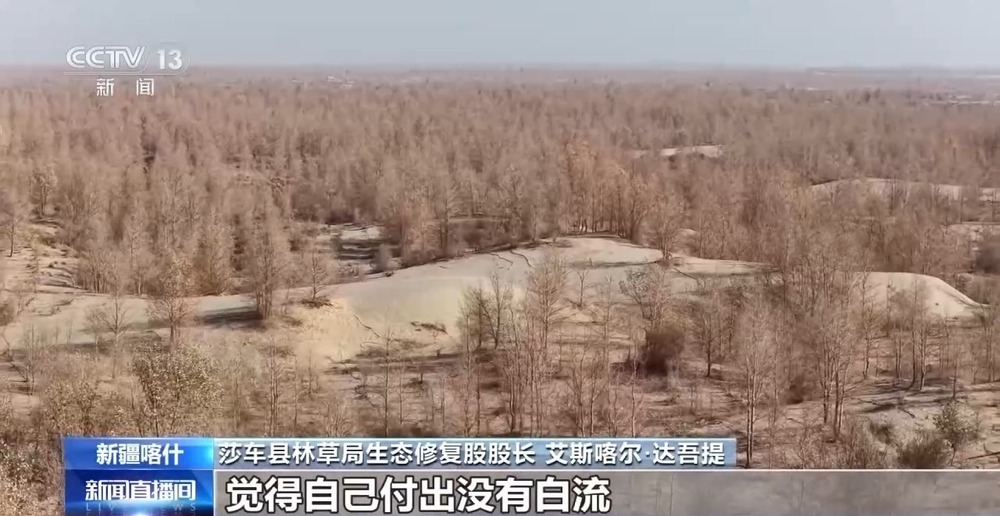 从“死亡之海”到“水产绿洲” 解锁新疆“点沙成金”的密码→ 从“死亡之海”到“水产绿洲” 解锁新疆“点沙成金”的密码→