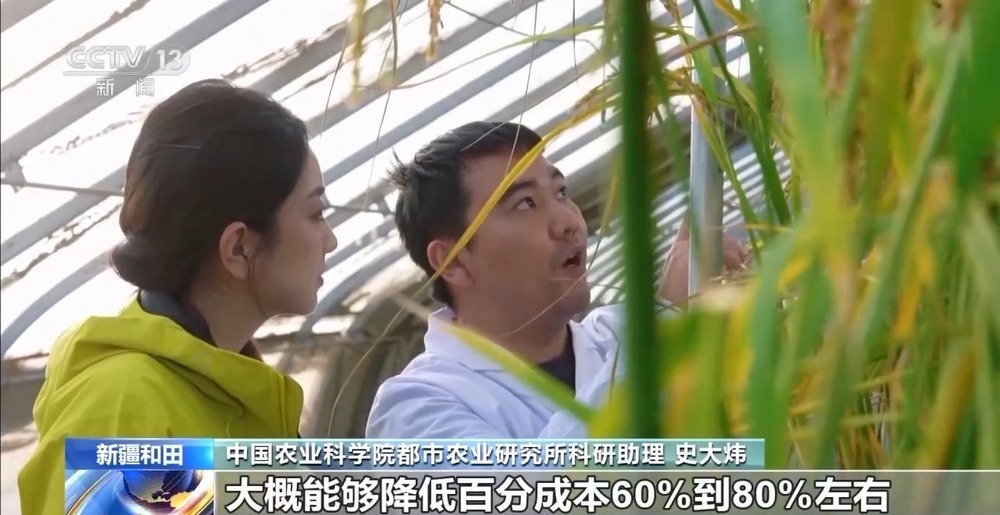 从“死亡之海”到“水产绿洲” 解锁新疆“点沙成金”的密码→ 从“死亡之海”到“水产绿洲” 解锁新疆“点沙成金”的密码→