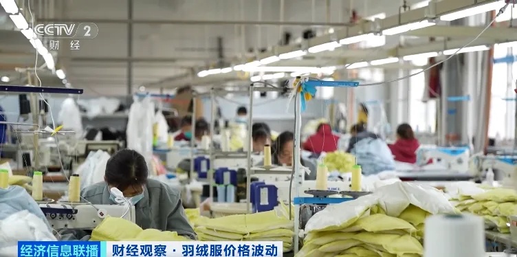 羽绒服价格，明显上涨！你买了吗？