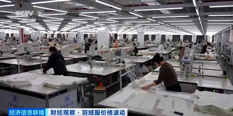 羽绒服价格，明显上涨！你买了吗？