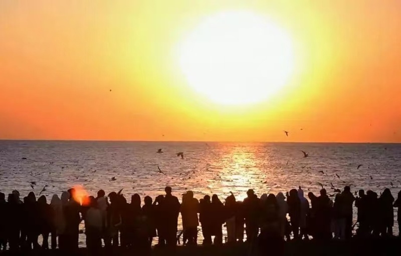 天津有海吗？天津的海有什么？