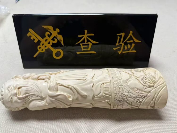 共计1.47千克，石家庄机场海关查获疑似象牙制品2件