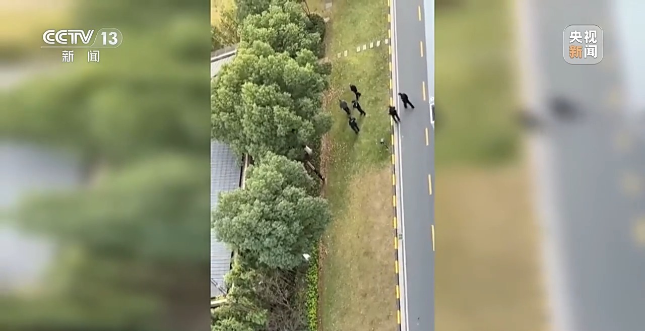 “二师兄”频繁来南京“旅游” 还给城市管理出了道新题