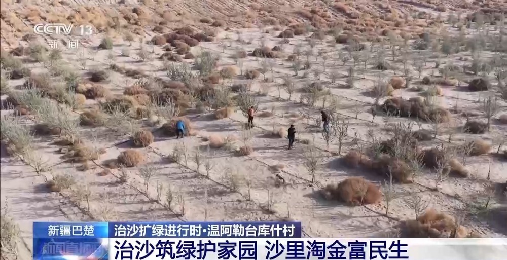 从“死亡之海”到“水产绿洲” 解锁新疆“点沙成金”的密码→ 从“死亡之海”到“水产绿洲” 解锁新疆“点沙成金”的密码→