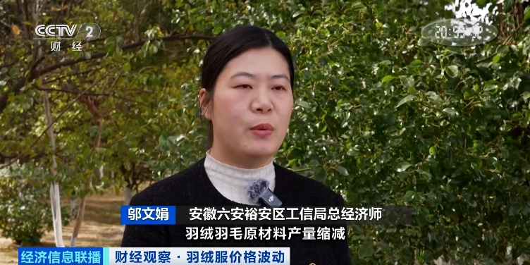 羽绒服,大涨价!什么情况? 羽绒服,大涨价!什么情况?