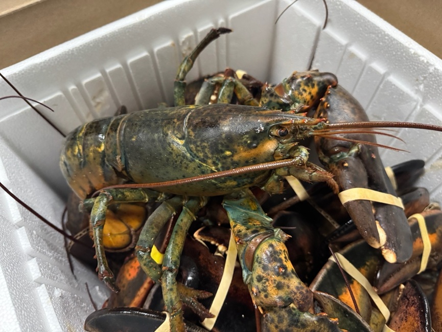 天津有海吗？天津的海有什么？