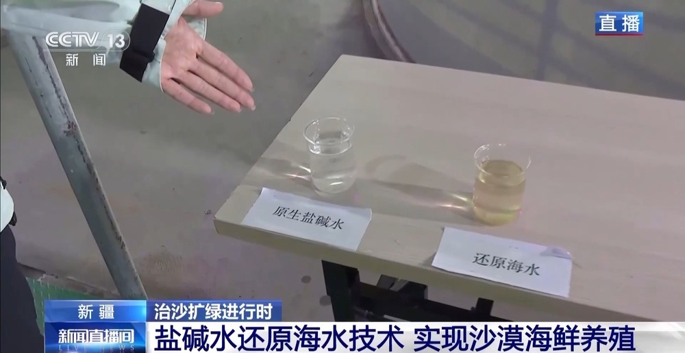 沙漠里如何养海鲜？解锁塔克拉玛干沙漠的水产养殖密码