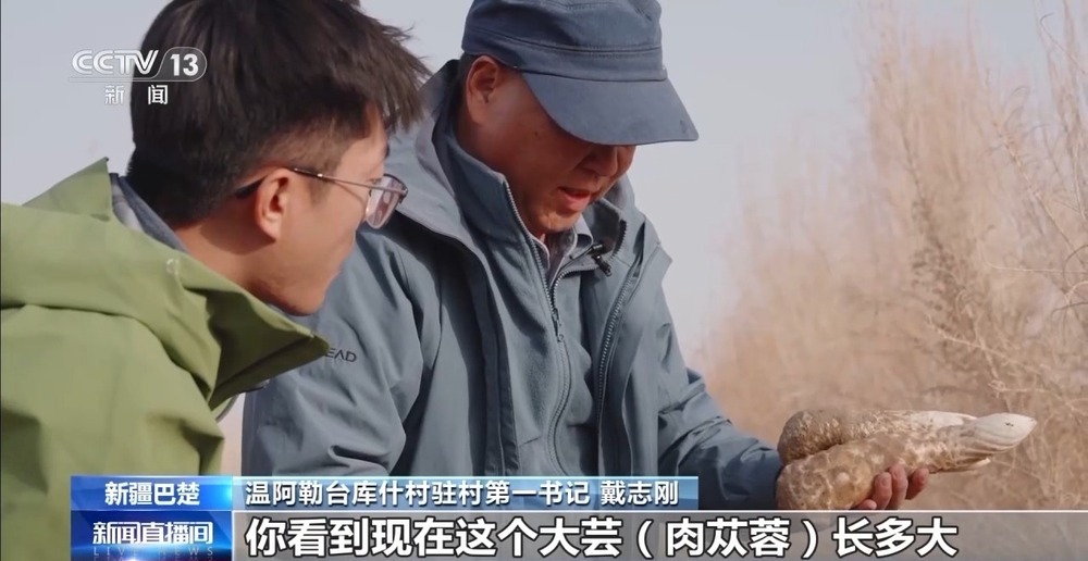 从“死亡之海”到“水产绿洲” 解锁新疆“点沙成金”的密码→ 从“死亡之海”到“水产绿洲” 解锁新疆“点沙成金”的密码→