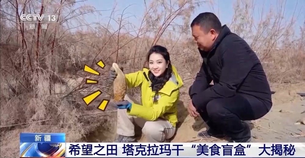 从“死亡之海”到“水产绿洲” 解锁新疆“点沙成金”的密码→ 从“死亡之海”到“水产绿洲” 解锁新疆“点沙成金”的密码→