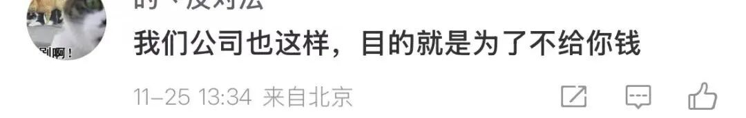 公司强制休年假，员工为何不高兴？