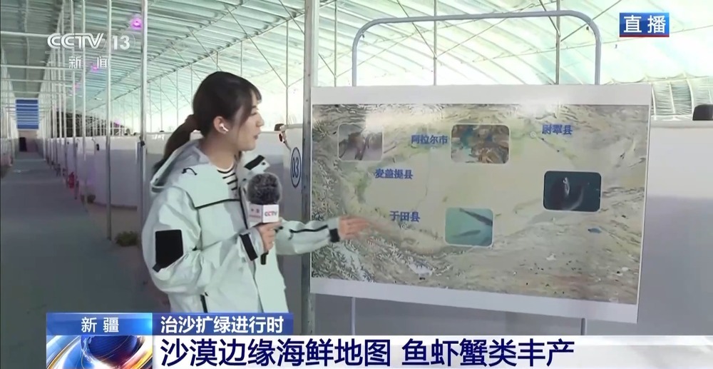 沙漠里如何养海鲜？解锁塔克拉玛干沙漠的水产养殖密码