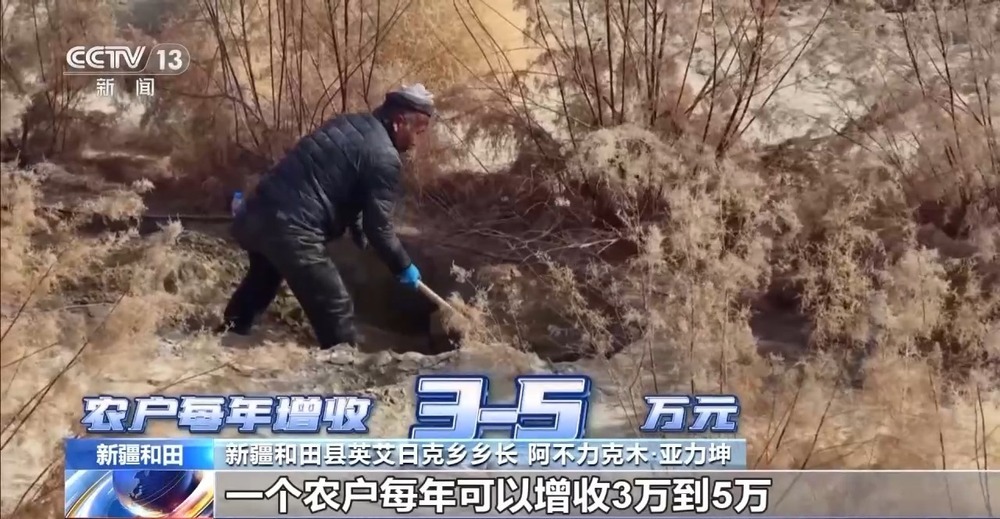 从“死亡之海”到“水产绿洲” 解锁新疆“点沙成金”的密码→ 从“死亡之海”到“水产绿洲” 解锁新疆“点沙成金”的密码→