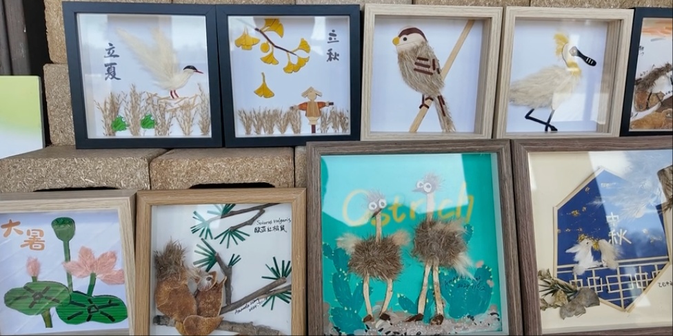 【探索】观群鸟、学科普！2025崇明东滩观鸟生活季启幕→