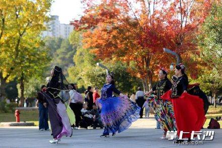 长沙初冬美到让人挪不开眼