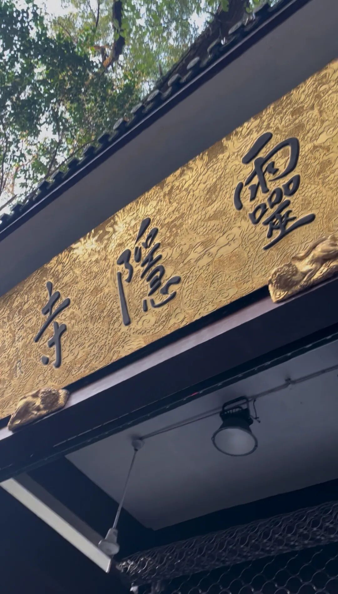 免费首日！这是今天的灵隐