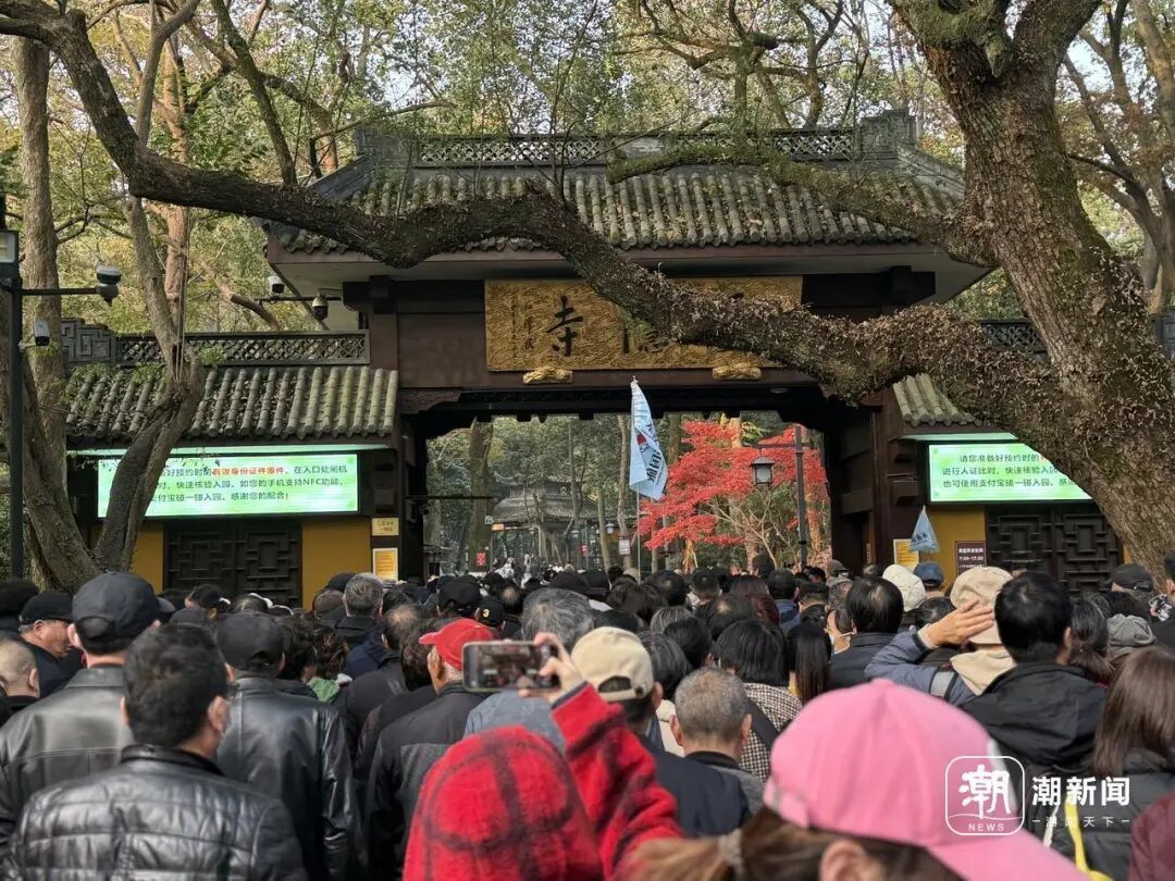知名景区，今起免票！上海男子直呼幸运！游客量激增，一早就排长队，这东西一定要带