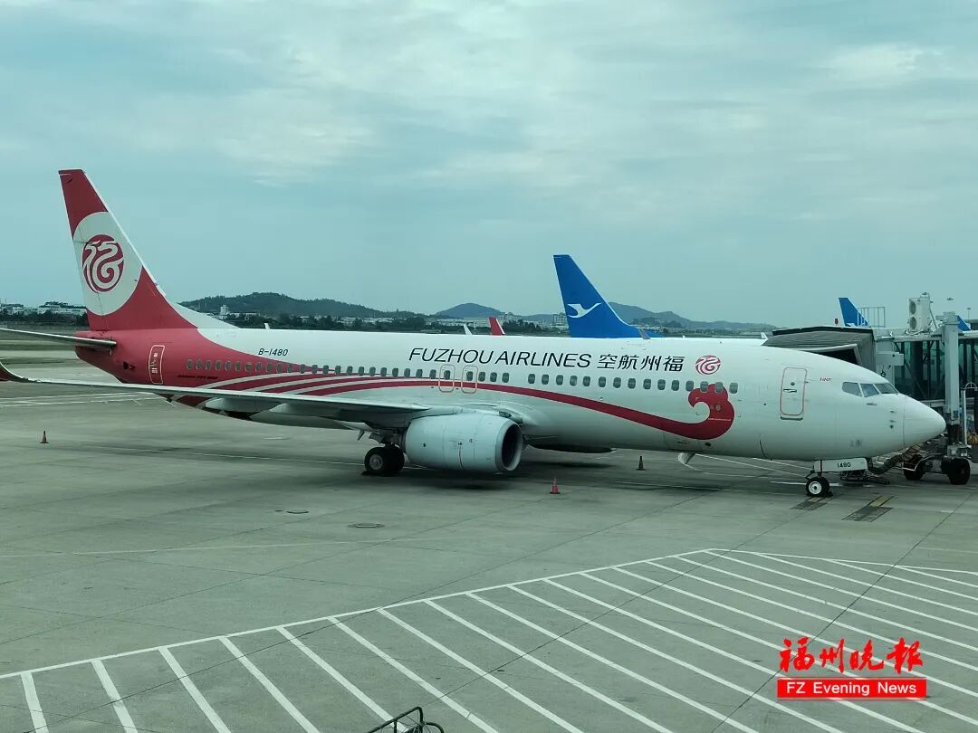 即将上涨！网友：还好下手早！