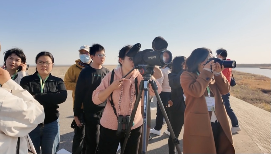 【探索】观群鸟、学科普！2025崇明东滩观鸟生活季启幕→