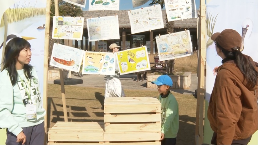 【探索】观群鸟、学科普！2025崇明东滩观鸟生活季启幕→