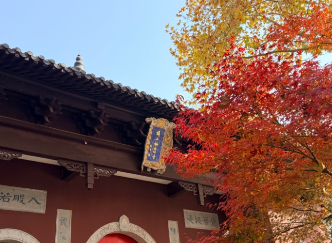 秋日特调！南京“西红柿炒蛋”皮肤已限时上线！