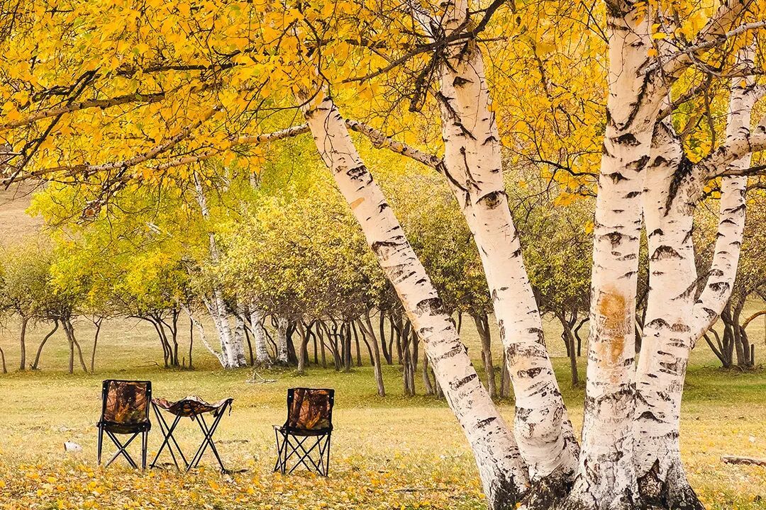 秋日特调！南京“西红柿炒蛋”皮肤已限时上线！