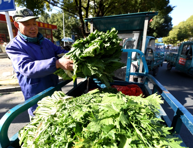 终于上市！一天卖出三四百斤！很多人爱吃