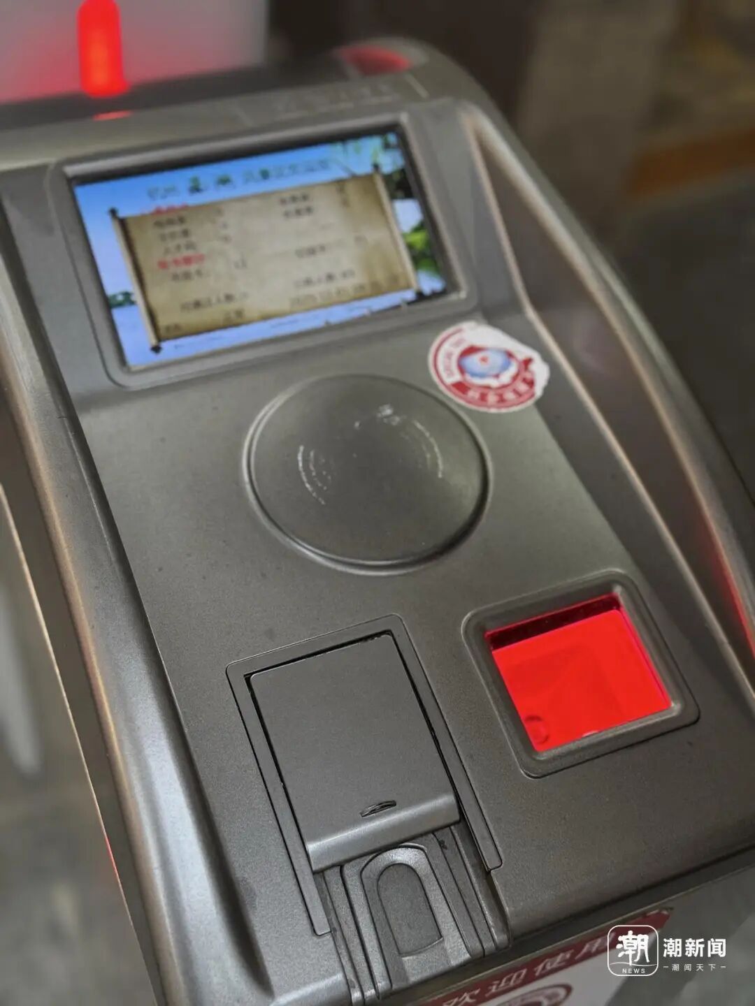 知名景区，今起免票！上海男子直呼幸运！游客量激增，一早就排长队，这东西一定要带