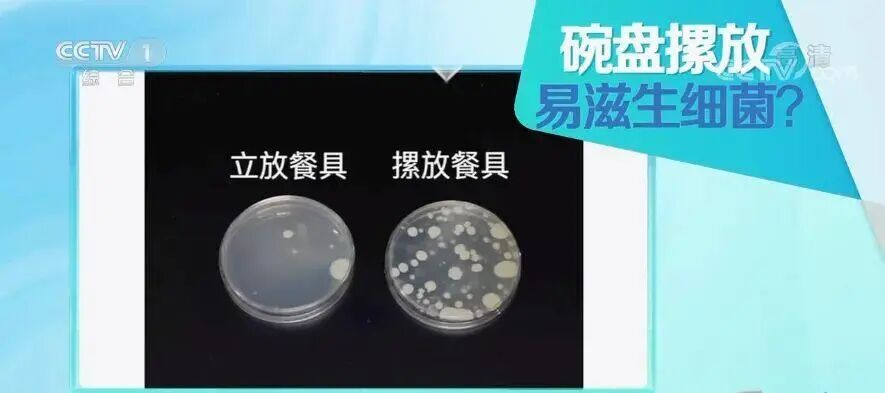 洗碗海绵可能比你家马桶圈还要脏，这3个洗碗误区人人都该知道→