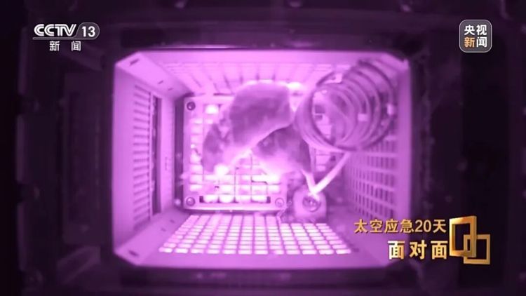 “神二十二乘组”，将永远空缺！