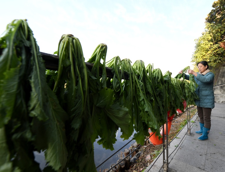 终于上市！一天卖出三四百斤！很多人爱吃
