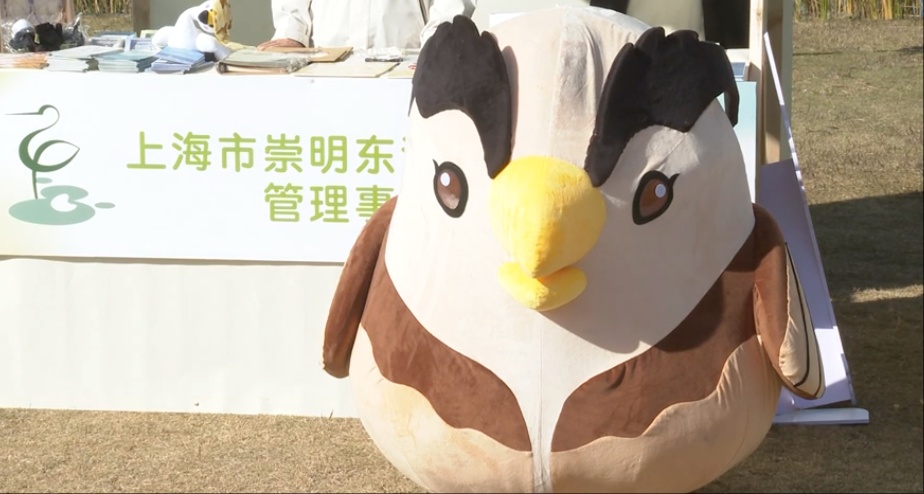 【探索】观群鸟、学科普！2025崇明东滩观鸟生活季启幕→