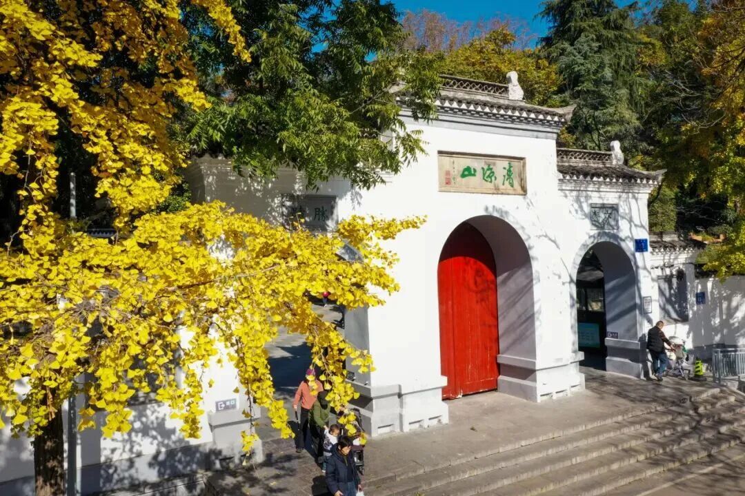 秋日特调！南京“西红柿炒蛋”皮肤已限时上线！